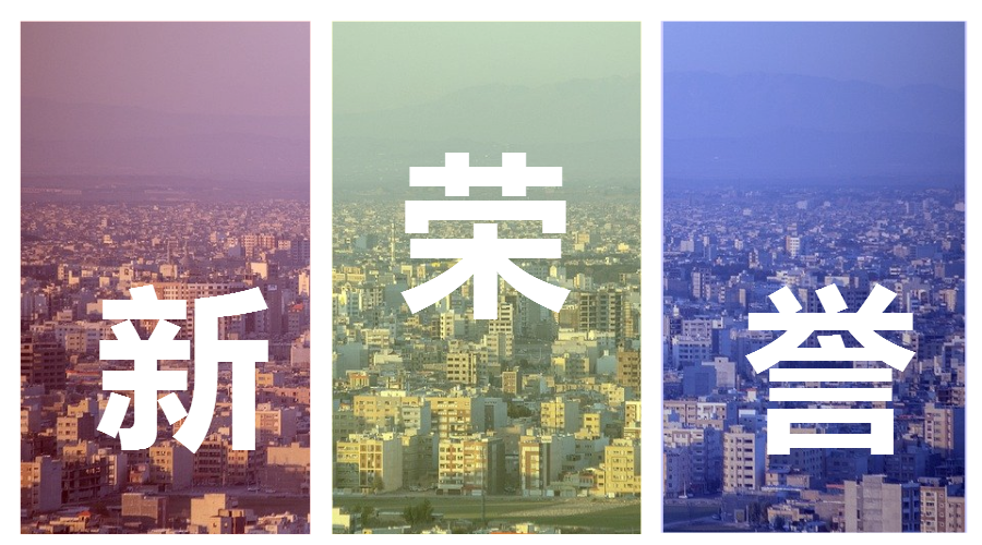 喜報(bào)丨瑞源物業(yè)榮獲“2024年度桐鄉(xiāng)市優(yōu)秀物業(yè)服務(wù)企業(yè)”榮譽(yù)